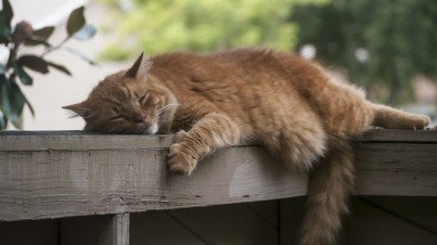 Letní únava – 5 tipů, jak s ní zatočit
